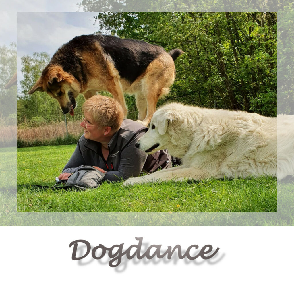 Dogdance, Tricks mit dem Hund